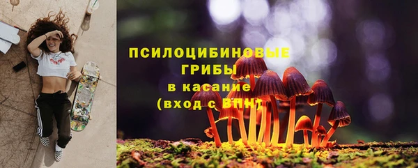 трава Абаза