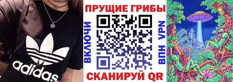 KRAKEN ссылки  Новопавловск  Галлюциногенные грибы Psilocybe  наркотики 